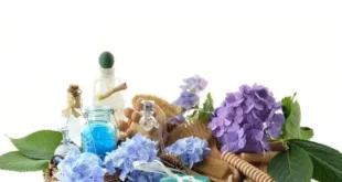 أفضل طرق التخلص من رائحة المهبل الكريهة بطرق طبيعية وفعالة
