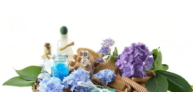 أفضل طرق التخلص من رائحة المهبل الكريهة بطرق طبيعية وفعالة