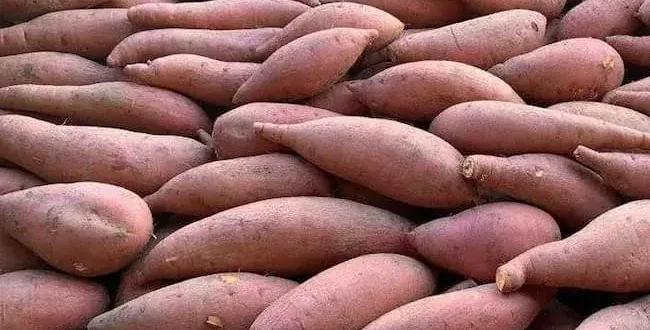 طرق طبخ البطاطا الحلوة: 9 وصفات صحية ولذيذة