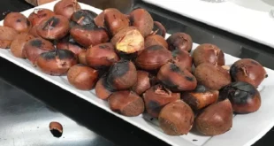طريقة طبخ أبو فروة: 4 طرق سهلة ولذيذة للكستناء