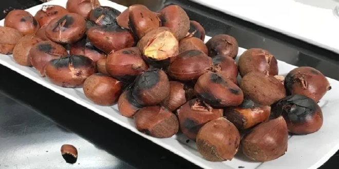 طريقة طبخ أبو فروة: 4 طرق سهلة ولذيذة للكستناء