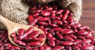 كيفية طبخ لوبيا حمراء: دليل شامل بخطوات بسيطة