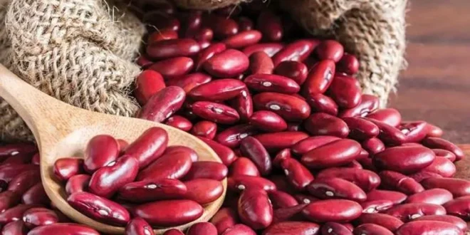 كيفية طبخ لوبيا حمراء: دليل شامل بخطوات بسيطة
