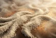 تفسير رؤية الأرز في المنام للعزباء - ابن سيرين والنابلسي